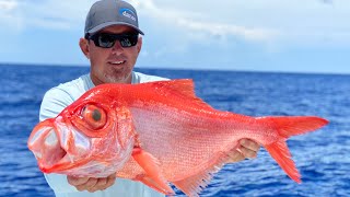 RARE DEEP WATER FISH  ALFONSINO  Catch Clean and Cook [upl. by Refennej]