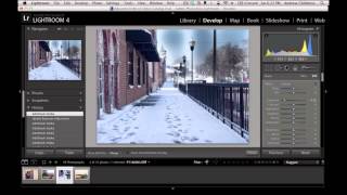 Mastering the Lightroom Adjustment Brush [upl. by Moraj]