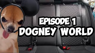 DOG MEMES FAMILY ROADTRIP COMPILATION EP1 [upl. by Atorod942]