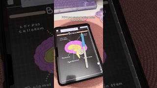 iPad note taking Dark mode 💗 aesthetic digital notes  take notes with me  iPad accessories  study [upl. by Sile]