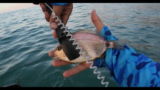 Dalgalı Denizde Belly Boat ile LRF Avı fish lrf ajing bellyboat floattube fishing [upl. by Hendren567]