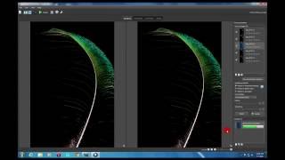 A Look at Focus Stacking with Helicon Focus [upl. by Airom]