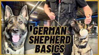 German Shepherd BASIC Training A LEASH  A BALL [upl. by Annawt]