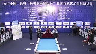 Sebastian Giumelli ARG VS Lukasz Szywala POL – Final – 2017 WPA World Artistic Pool Championship [upl. by Gare397]