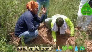 Save tree save life  ped lagao jeevan pao paryavransachetaksamitipwl4748। save trees 🌳 [upl. by Aieka999]