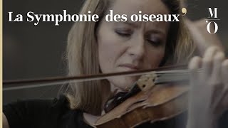 ORSAY LIVE  La Symphonie des oiseaux  FR  Musée d’Orsay [upl. by Nylahsoj]