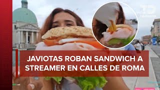 Mujer es ATACADA por parvada de gaviotas que querían comerse su sándwich [upl. by Acinet]