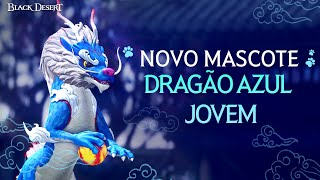 Novo Mascote Dragão Azul Jovem  Black Desert [upl. by Chara37]