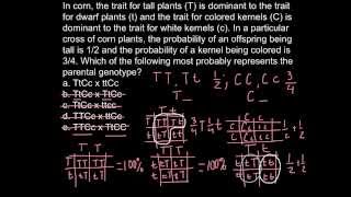 How to solve genetics problems step by step [upl. by Nyrehtak]