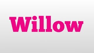 Willow meaning and pronunciation [upl. by Simonette961]