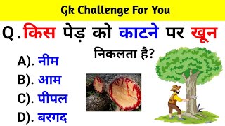 GK Question  GK In Hindi  GK Question and Answer  GK Quiz  BR GK STUDY [upl. by Isdnyl]