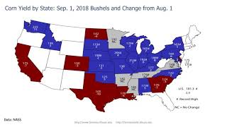 Record Corn Yield Forecast Weakens Corn Prices [upl. by Torrie]