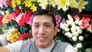 ¿Cómo se dónde comprar buenas flores en Lince Lima Perú [upl. by Nimaynib]