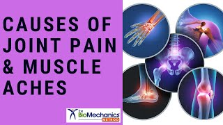 The Most Common Causes of Joint Pain and Muscle Aches [upl. by Ellehsyt]