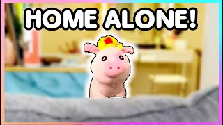 Baby MuuMuu is home alone What will he do [upl. by Odlawso]