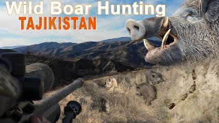 Wild boar hunting in Tajikistan  Chasse au Sanglier au Tadjikistan  2020 [upl. by Reltuc]