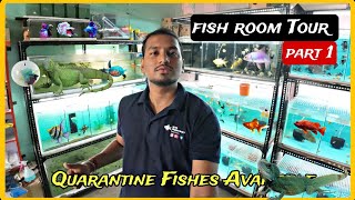 Full Fishroom Tour  Different types of species in one place [upl. by Lauber]