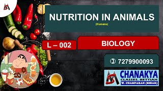 Lecture  002  07th Class  Nutrition in Animals  15092024  Lycemit [upl. by Merc]