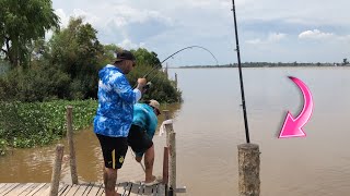 PESCA Y COCINA EN ZÁRATE REMANSO 8RIO TALAVERA [upl. by Elesig381]