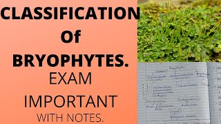 CLASSIFICATION OF BRYOPHYTESbsc botany [upl. by Innavoj670]