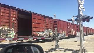 SJVR train passing through Lemoore CA [upl. by Attiuqram61]