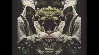 Midlake  The courage of others [upl. by Remmus]