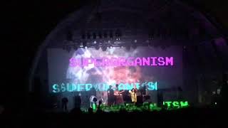 Superorganism  Sprorgnsm [upl. by Eifos96]