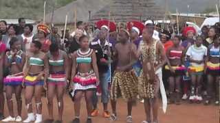 Isandlwana wedding [upl. by Ahsitaf243]