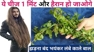 सिर्फ एक चीज इस्तेमाल से तेल लगाना भूल जाओगे 1Min लगालो 2बार नए बाल तेजीसे आएगे Hair Growth Remedy [upl. by Estella]