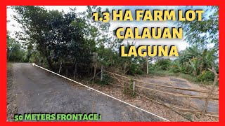 13 has Farm Lot With House in Calauan Laguna Lot Code 2319 [upl. by Isolde]