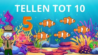 Leren Tellen Nederlands ☆ Van 1 tot 10 Leren Tellen ☆ Cijfers Leren Voor Peuters En Kleuters ☆ [upl. by Nacul228]