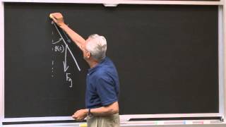 1 Simple Harmonic Motion amp Problem Solving Introduction [upl. by Goldston]