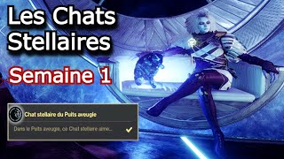 Les Chats Stellaires ▶Triomphe Secret  Semaine 1Destiny 2 FR [upl. by Dennison]