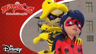 🤫 Podstęp  Miraculous Biedronka i Czarny Kot  Disney Channel Polska [upl. by Gates]