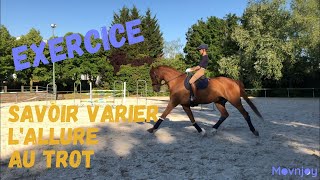 Exercice de dressage 👉 La variation de lallure au trot [upl. by Noakes]