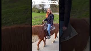 Rückwärts reiten und anderer Quatsch im Gelände auf den Pferden Lucky und Queenie horse wald [upl. by Eceertal]