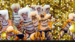 TRUMPET PILI DANCE FULL SONG🎷🎷tigerdance tiger manglore udupi tulunadu [upl. by Mariejeanne11]