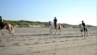 Strandritt renesse strandrit manege grol [upl. by Nylynnej]