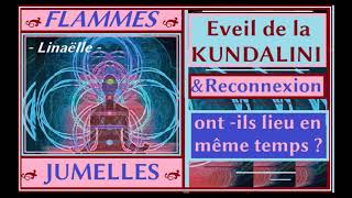 𝔽𝕃𝔸𝕄𝕄𝔼𝕊𝕁𝕌𝕄𝔼𝕃𝕃𝔼𝕊  Eveil de la KUNDALINI amp Reconnexion DUO FJ ont ils lieu en même tps  💞 N°620 💞 [upl. by Akinek2]