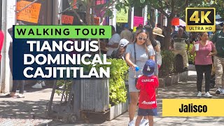 Cajititlán Las mejores Micheladas y deliciosos charales  ¡VIVA MÉXICO🇲🇽 Walking tour 4K ULTRAHD [upl. by Alahc190]