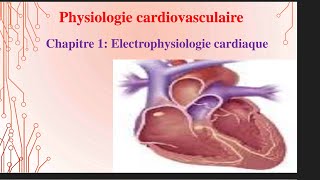 UE1 Physiologie CardioVasculaire 1 بالعربية  Electrophysiologie Cardiaque Partie 2 [upl. by Clough]