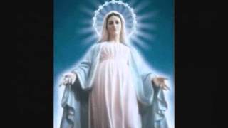 The 3 Hail Marys Morning Prayer [upl. by Gill983]