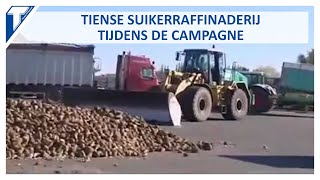 TVCom visite la Raffinerie Tirlemontoise pendant la campagne [upl. by Ebsen]