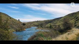 Deschutes River Fly Fishing Maupin  Central Oregon Trout Spey [upl. by Nazus21]