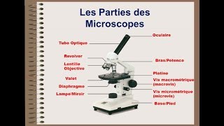 Microscope optique  biologie cellulaire [upl. by Vokaay]