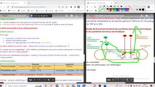 UE2 Physiologie Digestive 3 بالعربية  Physiologie Gastrique Vidange Gastrique part3 [upl. by Blackmore]