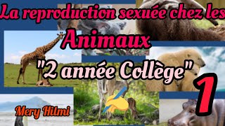 La reproduction sexuée chez les animaux 2 année Collège partie01 [upl. by Bryce]