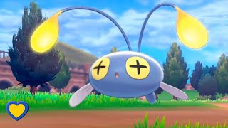 HOW TO GET Chinchou in Pokémon Sword and Shield [upl. by Ardisj]