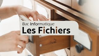 les fichiers01 présentation quotProgrammationBac informatique quot [upl. by Ardnalac]