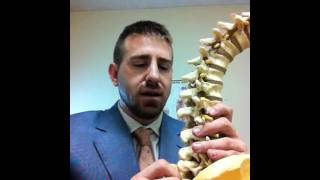 Dr Roth Lumbar Spinous Process [upl. by Ysteb]